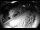 Webcam in Filzmoos, 0.9 km entfernt