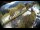 Webcam in Filzmoos, 7.1 km