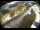 Webcam in Filzmoos, 9.8 km entfernt