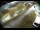 Webcam in Filzmoos, 2.7 mi away