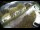 Webcam in Filzmoos, 7.1 km