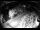 Webcam in Filzmoos, 4.7 km