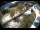 Webcam in Filzmoos, 9.8 km