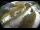 Webcam in Filzmoos, 9.8 km