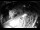 Webcam in Filzmoos, 0.4 mi away