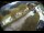 Webcam in Filzmoos, 3.8 mi away