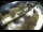 Webcam in Filzmoos, 4.7 km entfernt