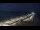 Webcam in Zingst, 30.8 km