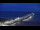 Webcam in Zingst, 3.2 mi away