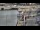 Webcam in Kappeln, 20.8 mi away