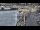Webcam in Kappeln, 29 km