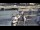Webcam in Kappeln, 0.3 km entfernt
