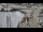 Webcam in Kappeln, 7.1 mi away