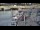 Webcam in Kappeln, 58.8 km