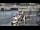 Webcam in Kappeln, 3.9 mi away