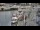 Webcam in Kappeln, 58.8 km
