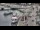 Webcam in Kappeln, 34.8 km entfernt