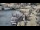 Webcam in Kappeln, 5.4 km