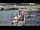 Webcam in Kappeln, 18.3 km