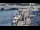 Webcam in Kappeln, 51.7 km entfernt