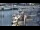 Webcam in Kappeln, 5.4 km