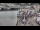 Webcam in Kappeln, 31.4 km