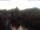 Webcam in Bad Kreuznach, 8.6 mi away