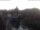Webcam in Bad Kreuznach, 22.3 km entfernt