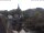 Webcam in Bad Kreuznach, 27.8 km