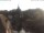Webcam in Bad Kreuznach, 6 mi away