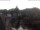 Webcam in Bad Kreuznach, 16.4 mi away