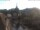Webcam in Bad Kreuznach, 22.6 km