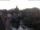 Webcam in Bad Kreuznach, 22.8 km