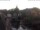 Webcam in Bad Kreuznach, 5.1 mi away