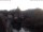 Webcam in Bad Kreuznach, 27.8 km