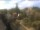 Webcam in Bad Kreuznach, 20.7 km entfernt