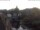 Webcam in Bad Kreuznach, 22.8 km