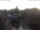 Webcam in Bad Kreuznach, 6 mi away