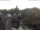 Webcam in Bad Kreuznach, 8.9 mi away