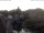 Webcam in Bad Kreuznach, 8.8 mi away