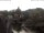 Webcam in Bad Kreuznach, 17.5 km entfernt