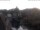 Webcam in Bad Kreuznach, 6 mi away