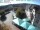 Webcam in Sankt Wendel, 10.5 km entfernt