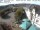 Webcam in Sankt Wendel, 13.4 km entfernt