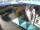 Webcam in Sankt Wendel, 4.9 mi away