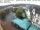 Webcam in Sankt Wendel, 28.8 km entfernt