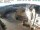 Webcam in St. Wendel, 112.6 km