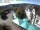 Webcam in Sankt Wendel, 82.1 km