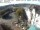 Webcam in Sankt Wendel, 32.3 km entfernt