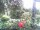 Webcam in Cuxhaven, 4 km